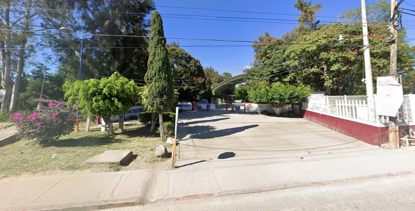 En la fotografía se muestra una explanada dividida en dos, de un lado se encuentran arbustos y en el otro el piso de cemento. Al fondo de la explanada se localiza la entrada del plantel, que está conformado por muros y rejas de color blanco. 